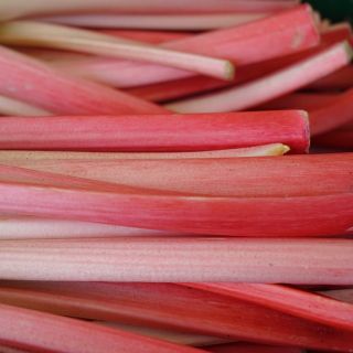 РЕВЕН BIETOLA DA COSTE RED RHUBARB